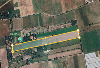 ðŸŒ± Terreno agrÃ­cola en renta â€“ Sayula, Jalisco ðŸŒ±